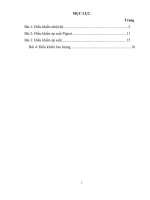 Báo cáo kĩ thuật phản ứng