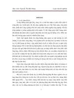 Nghiên cứu vật liệu xúc tác cho quá trình xử lý các hợp chất gây ô nhiễm trong nước thải ngành da – giầy 