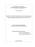 Nghiên cứu thành phần hóa học của loài ardisia balansana thuộc họ đơn nem (myrsinaceae) ở việt nam 