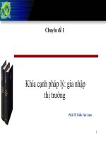 Chuyên đề 1 Khía cạnh pháp lý tham gia thị trường