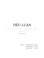 CÁC LOẠI CẬY THUỐC TRỊ BỆNH UNG THƯ