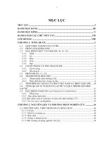 Khảo sát các chất chống oxi hóa trong quá trình lên men Lactic cà tím Solanum Melongena