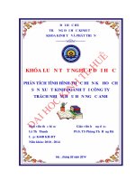 Phân tích tình hình thực hiện kế hoạch sản xuất kinh doanh tại công ty trách nhiệm hữu hạn Ngọc Anh
