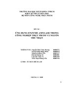 Đề tài ứng dụng enzyme amylase trong công nghiệp thực phẩm và nguồn thu nhận