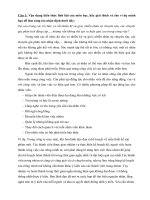 Bài thu hoạch kỹ năng làm việc nhóm (5) 