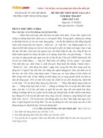 Đề thi thử THPT Quốc gia năm 2017 môn Ngữ văn THPT Trần Hưng Đạo, TP. Hồ Chí Minh (Lần 1)