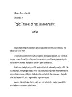 The roles of rules in a community