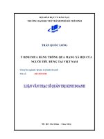 Ý định mua hàng thông qua mạng xã hội của người tiêu dùng tại việt nam 