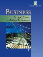Business it legal ethical and global environment 8th edition