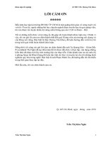 giải pháp phát triển hoạt động cho vay khách hàng cá nhân mua ô tô tại ngân hàng tmcp đại chúng việt nam–chi nhánh gia định –pgd thị nghè 