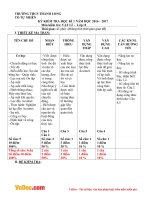 Đề kiểm tra 45 phút học kì 1 môn Vật lý lớp 8 trường THCS Thành Long, Tây Ninh năm 2016 - 2017