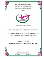 Niên luận cạnh tranh cá nhân và kết quả học tập của sinh viên tại thành phố cần thơ