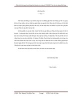 Tiểu luận phân tích hiệu quả hoạt động kinh doanh của công ty TNHHMTV tư vấn xây dựng hải sang 