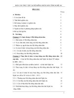 Tiểu luận đổi mới tổ chức và hoạt động của hội đồng nhân dân cấp tỉnh