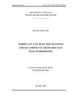 Nghiên cứu ứng dụng một số zeolit cho quá trình tẩy trắng bột giấy bằng hydropeoxit 