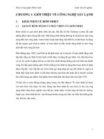 Luận văn ứng dụng công nghệ sấy lạnh trong công nghiệp chế biến rau quả việt nam 