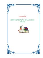 Tiểu luận Phương pháp làm sữa lên men yaour