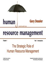 Human resource management the strategic role of HRM 10e gary dessler