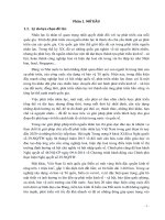 Nghiên cứu nguồn nhân lực khoa đóng tàu giai đoạn 2015 – 2025 tầm nhìn 2030