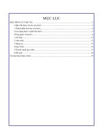 Tiểu luận Chiết xuất Pectin từ phế liệu Bưởi