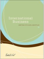 international business completing in the global marketplace 83 charles wlhill
