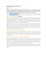 ĐỪNG để CON ăn QUÁ NO 