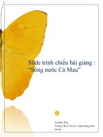 Bài giảng Tiết 77 sông nước cà mau