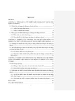 Nghiên cứu thiết kế các thiết bị trong hệ thống nhiên liệu biogas cho động cơ diesel tàu thủy cỡ nhỏ