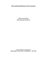 MBA book international business environment