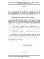 Niên luận xây dựng chiến lược kinh doanh cho công ty cổ phần thương mại SABECO sông hậu