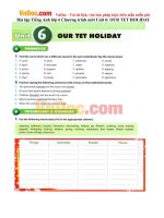 Bài tập Tiếng Anh lớp 6 Chương trình mới Unit 6: OUR TET HOLIDAY