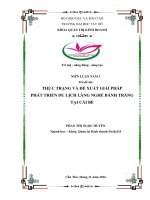 Niên luận thực trạng và giải pháp phát triển du lịch làng nghề bánh tráng ở cái bè 