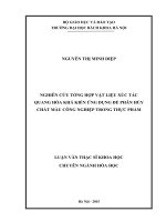 Nghiên cứu tổng hợp vật liệu xúc tác quang hóa khả kiến ứng dụng phân hủy chất màu công nghiệp trong thực phẩm 