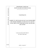 Nghiên cứu chuyển hóa dầu hạt cao su thành nhiên liệu sinh học biodiesel, sử dụng xúc tác axit rắn tạo ra trên cơ sở cacbon hóa nguồn nguyên liệu chứa đường 