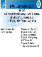 BÁO cáo đề tài NUÔI dế mèn 
