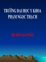 HỆ TIẾT NIỆU  TAI LIEU DAO TAO CU NHAN DIEU DUONG
