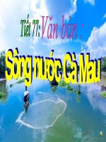 Bài giảng Tiết 77 sông nước cà mau