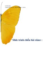 Bài giảng Tiết 77 sông nước cà mau