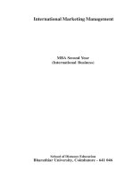 MBA book international marketing management