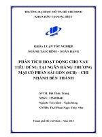 phân tích hoạt động cho vay tiêu dùng tại ngân hàng thương mại cổphần sài gòn (scb) –chi nhánh bến thành 
