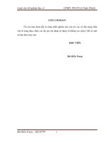 Nghiên cứu tổng hợp chất màu trên cơ sở kẽm cromit 