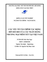 các yếu tố tài chính tác động đến rủi ro của các ngân hàng thương mại niêm yết tại việt nam 