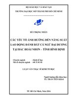 các yếu tố ảnh hưởng đến năng suất lao động đáng bắt cá ngừ đại dương tại bắc hoài nhơn   tỉnh bình định 