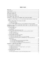 Nghiên cứu, đề xuất công nghệ và giải pháp xây dựng hệ thống cáp quang biển việt nam 