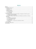 Tiểu luận Chiết xuất và phân lập Capsaicin từ cây Ớt