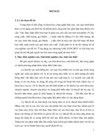( Đề tài NCKH) Ứng dụng các phương trình SANCHEZ và tích hợp các quan hệ mờ để giải quyết các bài toán công nghệ đa mục tiêu