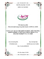 Tiểu luận năng lực quản trị khởi nghiệp, môi trường khởi nghiệp và kết quả hoạt động của doanh nghiệp vừa và nhỏ 
