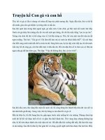 Truyện kể mầm non truyện kể con gà và con hổ 