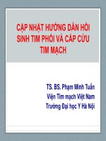 CẬP NHẬT HƯỚNG DẪN HỒI SINH TIM PHỔI VÀ CẤP CỨU TIM MẠCH  TS. BS. Phạm Minh Tuấn Viện Tim mạch Việt Nam Trường Đại học Y Hà Nội