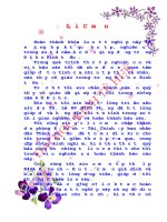 Dự án khu chung cư Bãi Dâu và tác động của nó đến người dân vạn đò Thành phố Huế